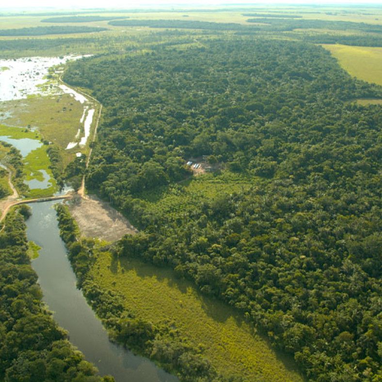 Beni